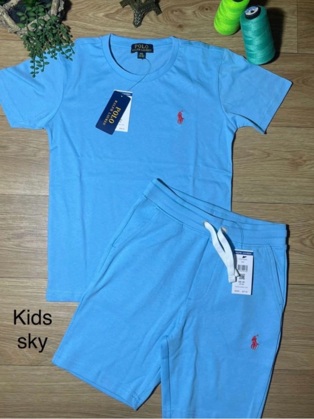 Polo Ralph Lauren Kids Sky Blue Tee & Shorts Set